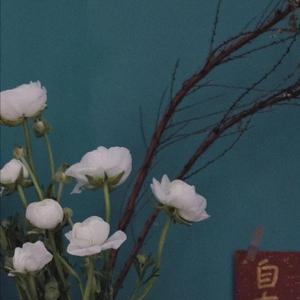 日逼高清视频看看
