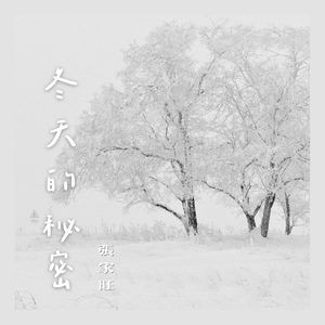 日逼高清视频看看
